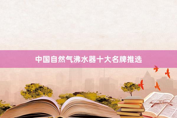 中国自然气沸水器十大名牌推选
