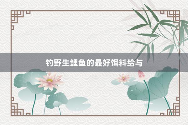 钓野生鲤鱼的最好饵料给与